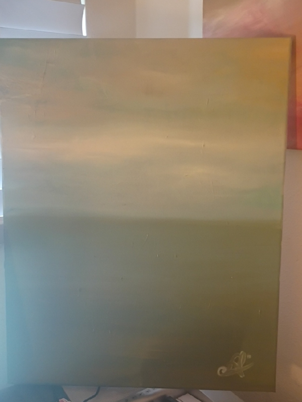 Soft Horizon